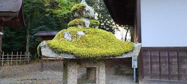 熊野神社(多賀大社)の参拝記録(ちもさん)