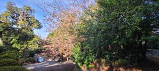 熊野神社(胡宮神社境内)の参拝記録(ちもさん)