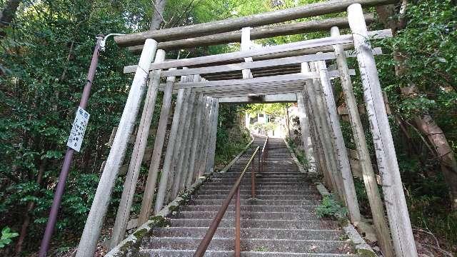 滋賀県東近江市小脇町 太郎坊宮 石段の鳥居の写真1