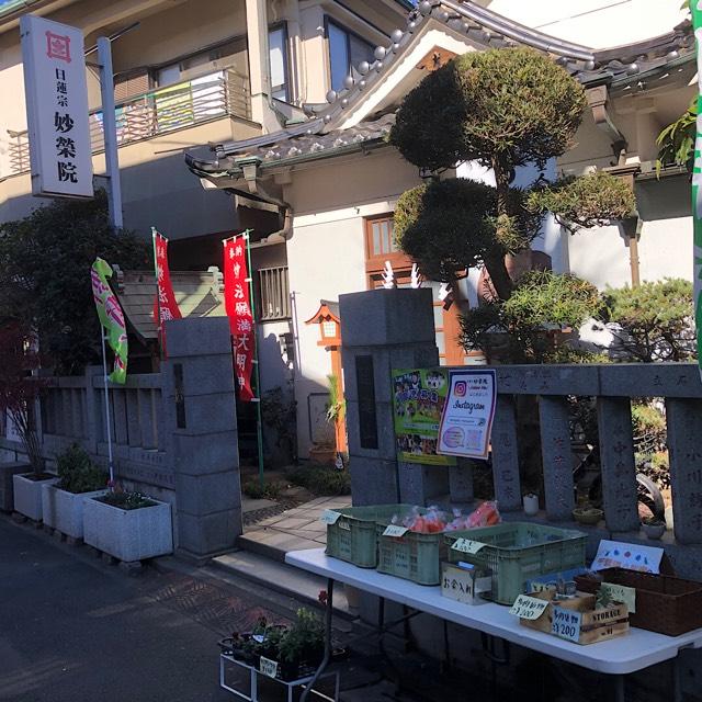 妙栄院の参拝記録2