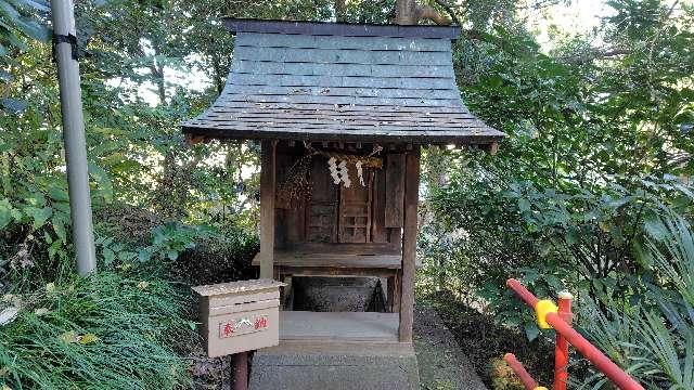 天神社（北本東間浅間神社境内社）の参拝記録1