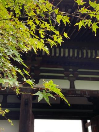 石山寺東大門の参拝記録(恭子さん)