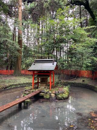 石山寺 八大龍王社の参拝記録(恭子さん)