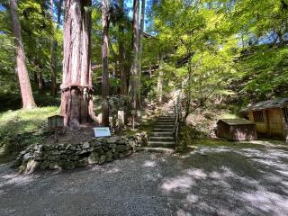 石山寺 八大龍王社の参拝記録(あまぞんさん)