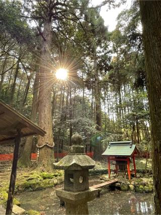 石山寺 八大龍王社の参拝記録(KUMIKOさん)