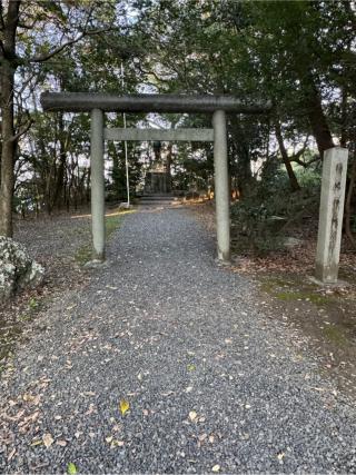 弥健神社の参拝記録(こーちんさん)