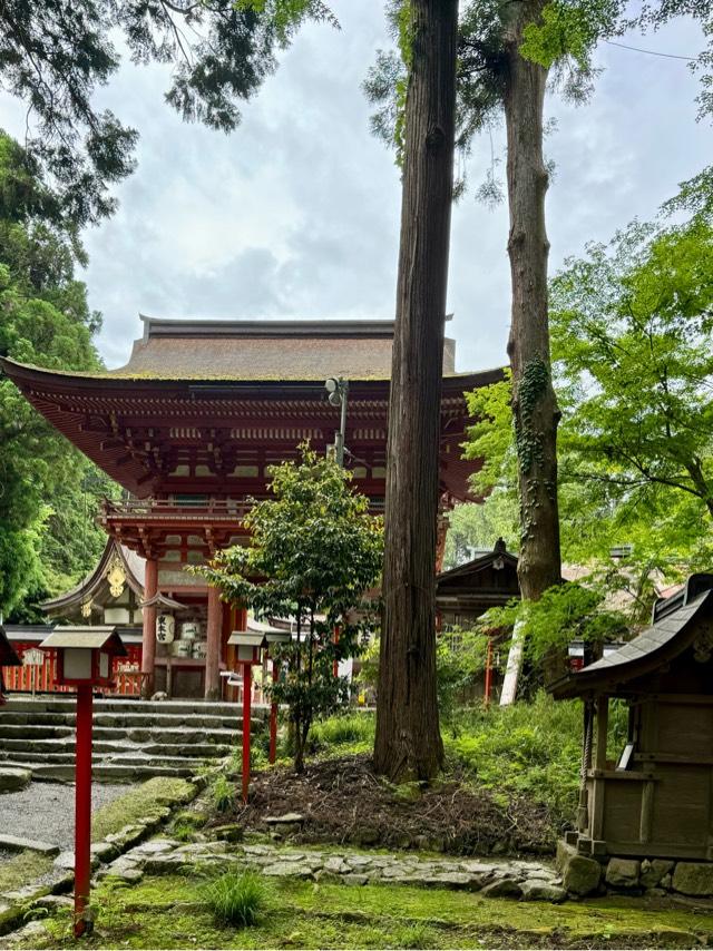 日吉大社 須賀社の参拝記録6