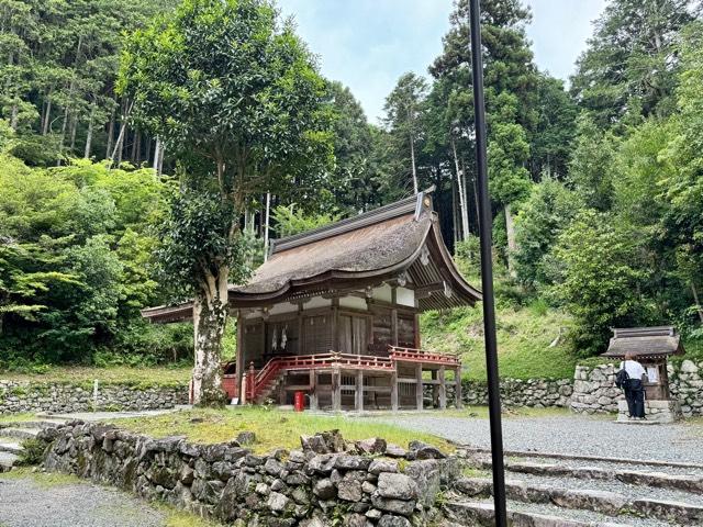 日吉大社 樹下宮拝殿の参拝記録7