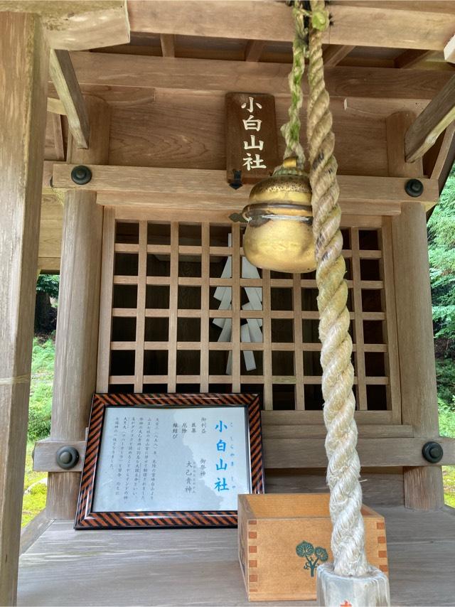 小白山社（日吉大社境内社）の参拝記録6