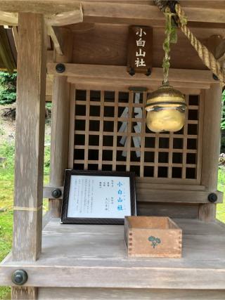 小白山社（日吉大社境内社）の参拝記録(こーちんさん)
