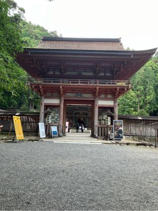 日吉大社 西本宮拝殿の参拝記録(てつやさん)