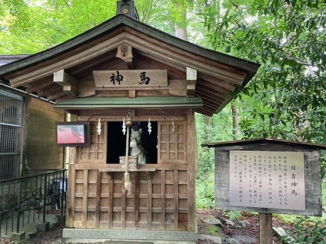 日吉大社 神馬舎の参拝記録7