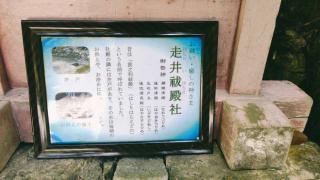 日吉大社 走井祓殿社の参拝記録(miyumikoさん)