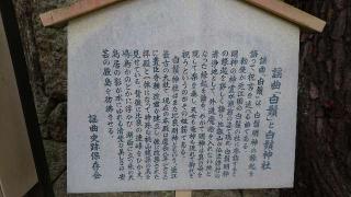 白髭神社 絵馬殿の参拝記録(yukiさん)