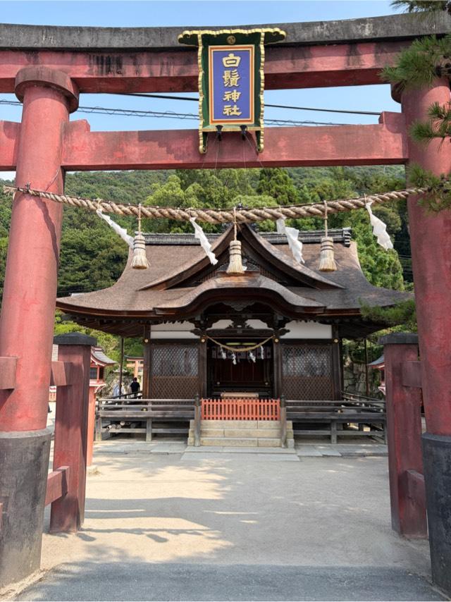 白鬚神社 絵馬殿の参拝記録2