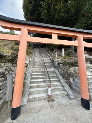 白鬚神社 絵馬殿の参拝記録(コットンさん)