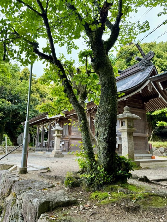 皇大神宮(白鬚神社境内社)の参拝記録9