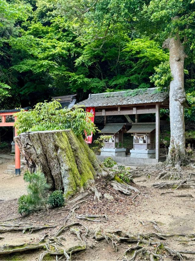 弁財天(白鬚神社境内社)の参拝記録8