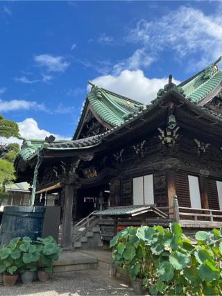 経栄山 題経寺帝釈堂(柴又帝釈天)の参拝記録(ふうりんパパさん)