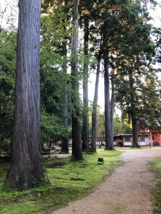 比売神社(出石神社境内社)の参拝記録(KUMIKOさん)