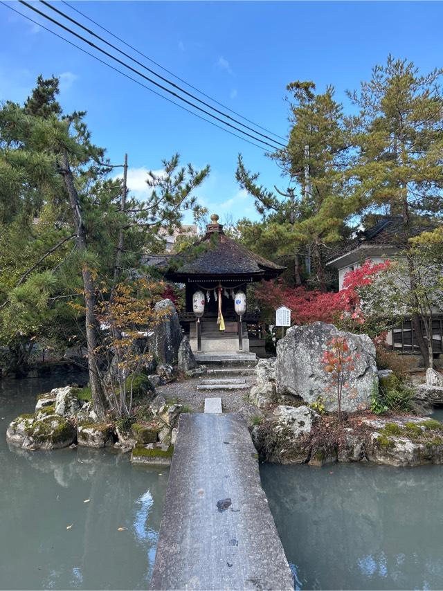 都久夫須麻神社(長濱八幡宮)の参拝記録(ねこチャリさん)