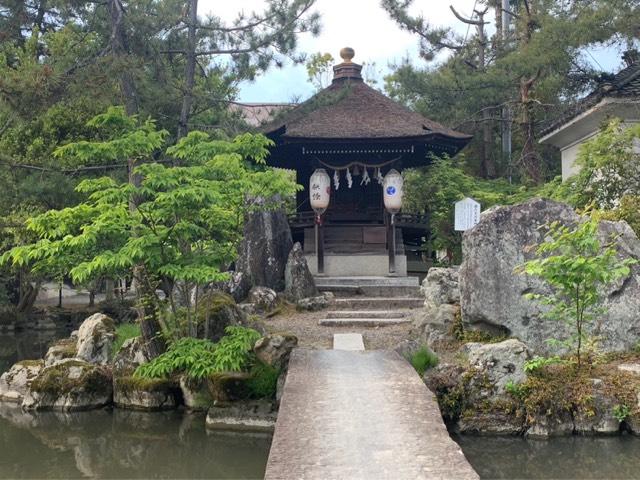 都久夫須麻神社(長濱八幡宮)の参拝記録(🤗あんこさん)