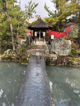 都久夫須麻神社(長濱八幡宮)の参拝記録(こーちんさん)