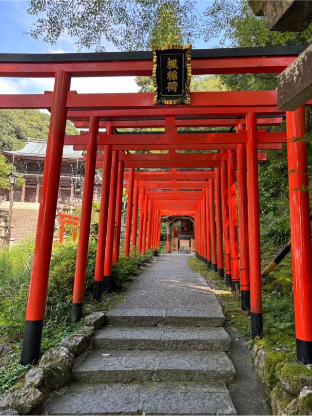 楓稲荷神社（伊奈波神社境内）の参拝記録2