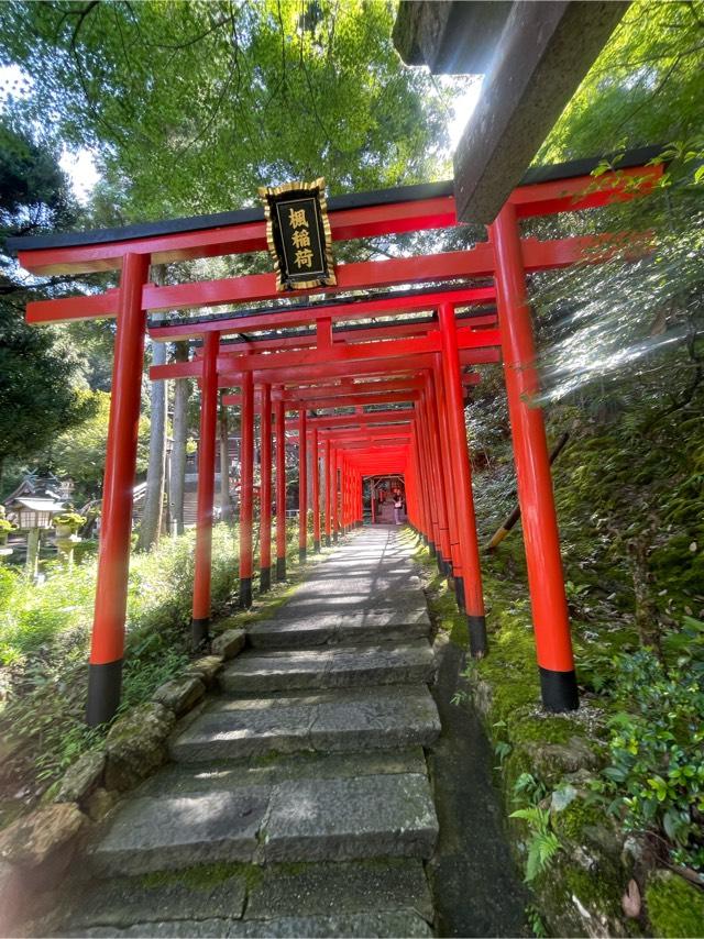 楓稲荷神社（伊奈波神社境内）の参拝記録3
