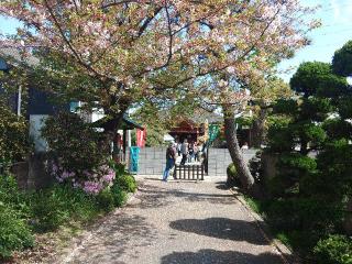 仏生山遍照院の参拝記録(しんのすけさん)