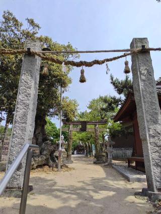 津古八龍神社の参拝記録(開花運風さん)