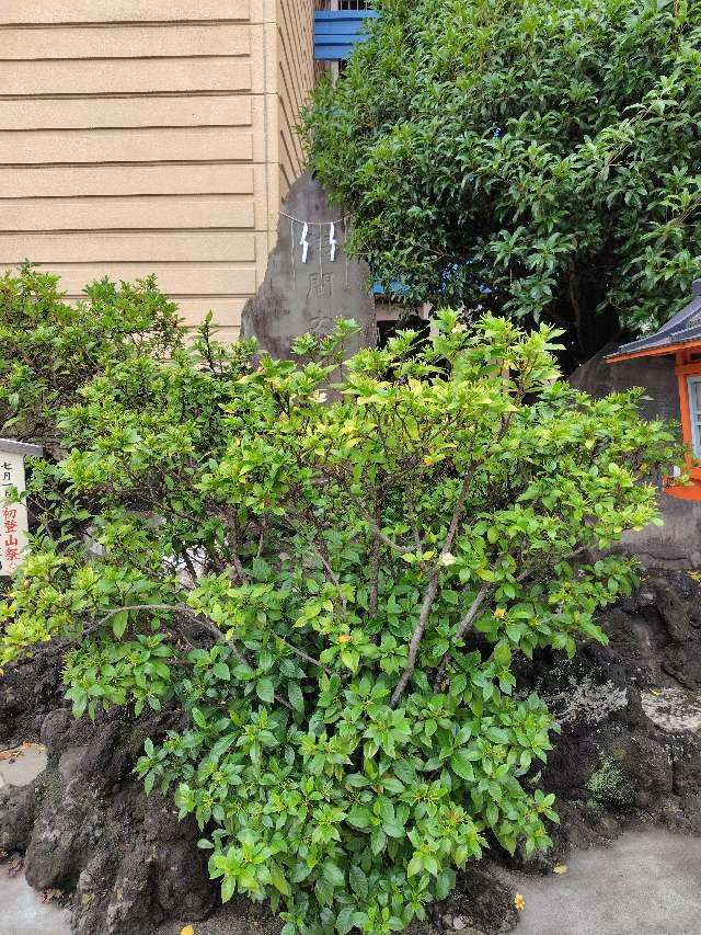 埼玉県上尾市宮本町1-14 浅間神社（氷川鍬神社境内社）の写真2