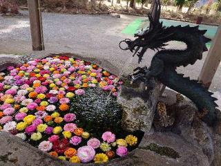 嵐山瀧神社の参拝記録(トモさん)