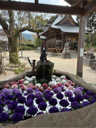 嵐山瀧神社の参拝記録(みんきちさん)