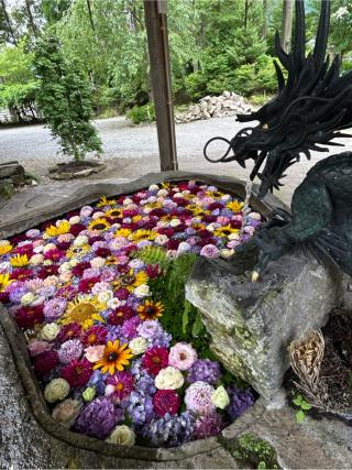 嵐山瀧神社の参拝記録(B4-61さん)