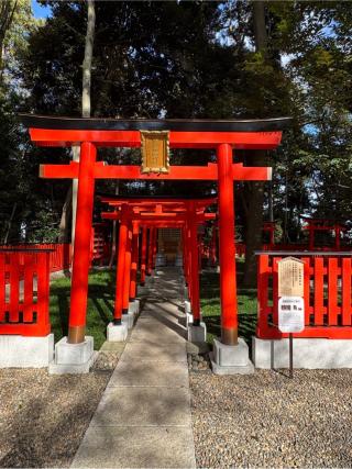 伏見稲荷神社(岩槻久伊豆神社境内社)の参拝記録(こーちんさん)