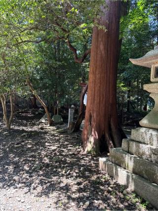 金敷金床社・石船社(南宮大社境内社)の参拝記録(⛩️🎠🐢まめ🐢🎠⛩️さん)