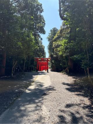 南宮稲荷神社 百連鳥居の参拝記録(⛩️🎠🐢まめ🐢🎠⛩️さん)