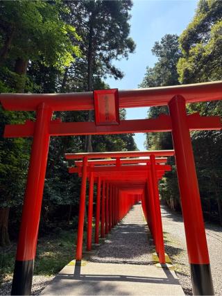 南宮稲荷神社 百連鳥居の参拝記録(⛩️🎠🐢まめ🐢🎠⛩️さん)