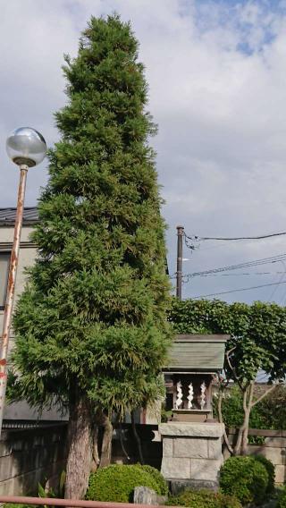 明星社の参拝記録(thonglor17さん)