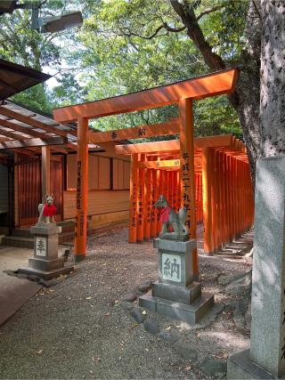 吉王稲荷神社（船江上社境内社）の参拝記録(⛩️🐍🐢まめ🐢🐍⛩️さん)