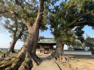 溝口竈門神社の参拝記録(マコトさん)