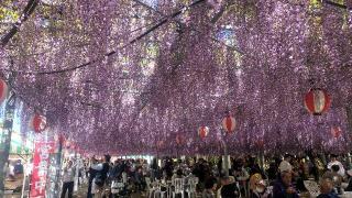 熊野神社の参拝記録(まほろばさん)