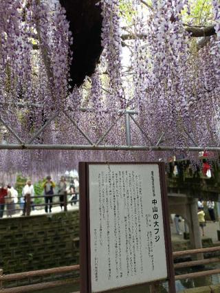 熊野神社の参拝記録(ゆみねえさん)