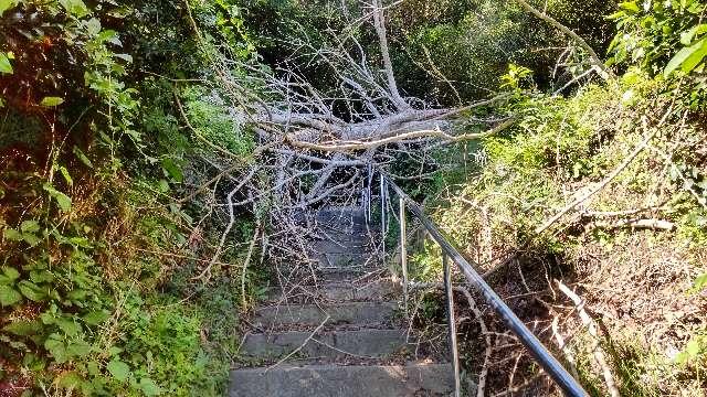 伊勢神社の参拝記録1