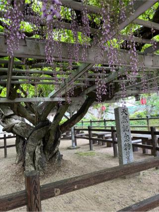 大中臣神社の参拝記録(KUMIKOさん)