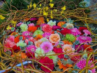 浮嶽神社の参拝記録(風祭すぅさん)
