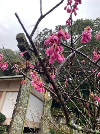 浮嶽神社の参拝記録(みほさん)