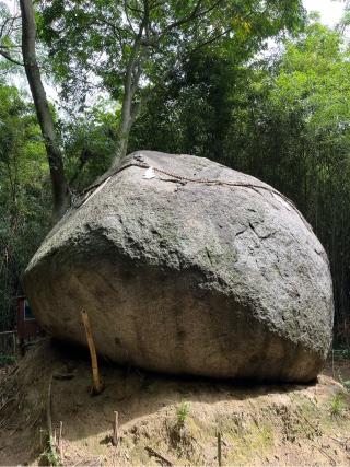 神在神社の参拝記録(だいちゃんさん)