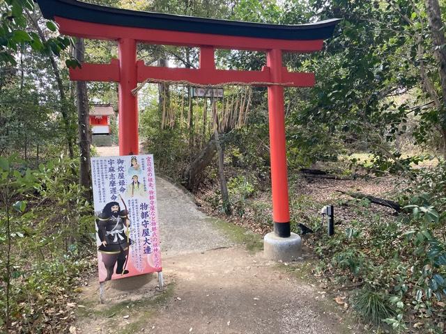 物部神社(村屋坐弥冨都比売神社)の参拝記録5